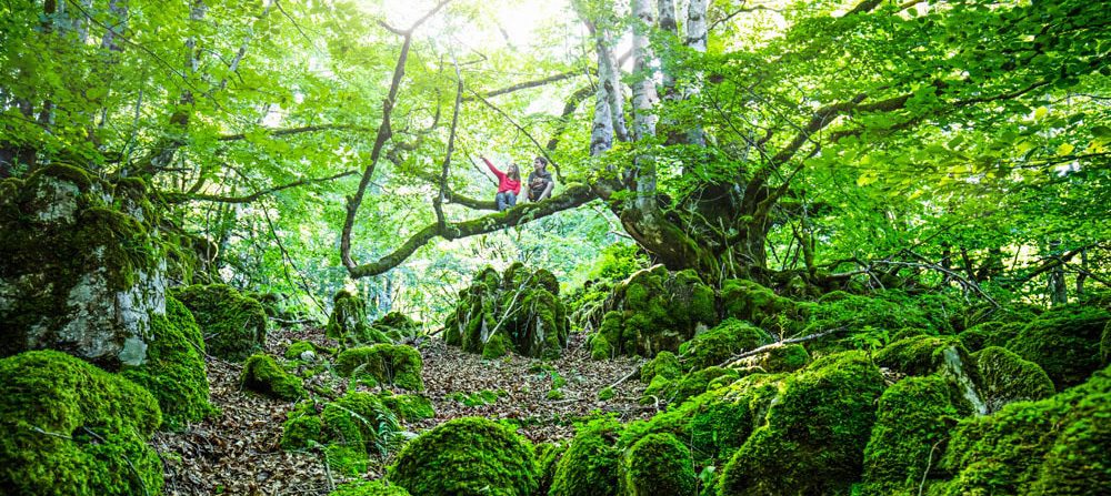 Children playing in the forest